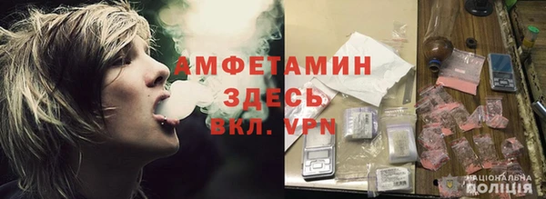 амф Гусев