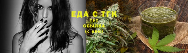 стаф Гусь-Хрустальный