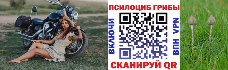 Галлюциногенные грибы Psilocybine cubensis  купить  сайты  Лаишево 